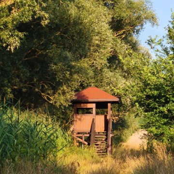 Ptačí pozorovatelna